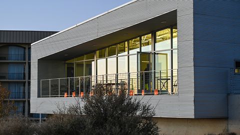 Tree Center_IPR Carousel_927x587_02
